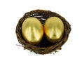 Golden egg in bird nest Royalty Free Stock Photo