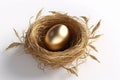 Golden egg in a bird\'s nest on a white background. 3d render Generative AI. Royalty Free Stock Photo