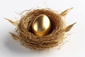 Golden egg in a bird\'s nest on a white background. 3d render Generative AI. Royalty Free Stock Photo