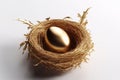 Golden egg in a bird\'s nest on a white background. 3d render Generative AI. Royalty Free Stock Photo