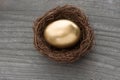Golden egg in birds nest on vintage background Royalty Free Stock Photo