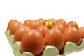 Golden Egg Royalty Free Stock Photo