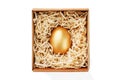 Golden egg in a box on a white background concept of exclusivity, best choice, prize, special surprise, expensive gift. The Royalty Free Stock Photo