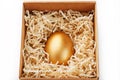 Golden egg in a box on a white background concept of exclusivity, best choice, prize, special surprise, expensive gift. The Royalty Free Stock Photo