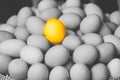 Golden egg for difference unique leader outstanding Royalty Free Stock Photo