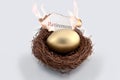 Golden Egg on fire Royalty Free Stock Photo