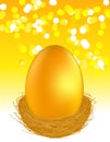 Golden egg on glare light background