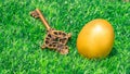 Golden egg in green grass and golden key background. saving money and invest in wealth business is key to success Royalty Free Stock Photo