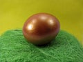 Golden Egg on green nest Royalty Free Stock Photo