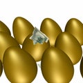 Golden Egg Hatching Royalty Free Stock Photo