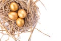 Golden egg inside a nest isolated on white background Royalty Free Stock Photo