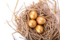 Golden egg inside a nest on white background Royalty Free Stock Photo