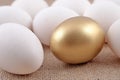 Golden egg and jast eggs Royalty Free Stock Photo