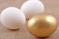 Golden egg and jast eggs Royalty Free Stock Photo