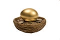 Golden Egg Laying On Coins In Nest Royalty Free Stock Photo