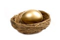 Golden Egg Laying In Nest Royalty Free Stock Photo