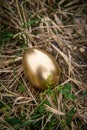Golden Egg Metaphor Concept Royalty Free Stock Photo