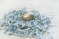 Golden Egg in Money Nest Royalty Free Stock Photo