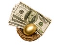 Golden Egg and Money In Nest Isolated On White Royalty Free Stock Photo