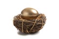 A Golden Egg in Nest Royalty Free Stock Photo