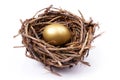 Golden egg in nest Royalty Free Stock Photo