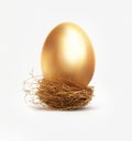 Golden egg in nest Royalty Free Stock Photo