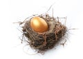 Golden egg in nest isolated on white background Royalty Free Stock Photo