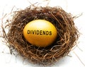 Golden egg in a nest with Dividends text Royalty Free Stock Photo