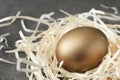 Golden egg in nest on grey background