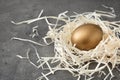 Golden egg in nest on grey background