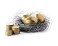 Golden Egg Nest II Royalty Free Stock Photo