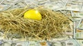 golden egg in nest on money background Royalty Free Stock Photo