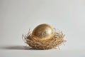 Golden Egg Nest Royalty Free Stock Photo