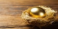 A golden egg in a nest, symbolizing investment and wealth growth , concept of Capital accumulation, created with