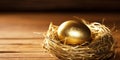 A golden egg in a nest, symbolizing investment and wealth growth , concept of Capital accumulation, created with