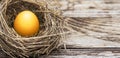 Golden egg in a nest, wealth concept, web banner Royalty Free Stock Photo