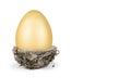 Golden egg in nest on white background Royalty Free Stock Photo