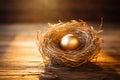 Golden egg in the nest on a wooden background. A shiny and glowing golden egg on the small bird\'s nest on a woode