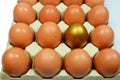 Golden Egg in with normal eggs. Royalty Free Stock Photo