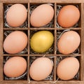 Golden egg among normal eggs in wooden box Royalty Free Stock Photo