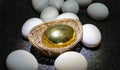 Golden egg among the normal white eggs - Investment concept Royalty Free Stock Photo