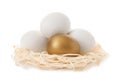 Golden egg among others in nest Royalty Free Stock Photo