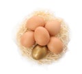 Golden egg among others in nest on white background Royalty Free Stock Photo