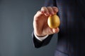 Golden egg, pension savings, investments and retirement Royalty Free Stock Photo