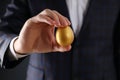 Golden egg, pension savings, investments and retirement Royalty Free Stock Photo