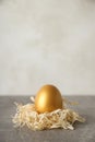 Golden egg, pension savings, investments, retirement, space for text Royalty Free Stock Photo