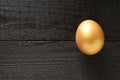 Golden egg, pension savings, investments, retirement, space for text Royalty Free Stock Photo