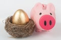 Golden egg, piggy bank and bird nest Royalty Free Stock Photo