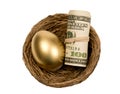 Golden Egg With Roll Of Money In Nest Royalty Free Stock Photo