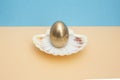 Golden egg in a sea shell on soft orange Royalty Free Stock Photo